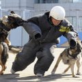 Kodanikujulgus: Viljandis aitas koeraga mees tabada kurjategijaid