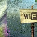 E-Eesti suurim vale: üleriigiline tasuta wifi