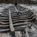 Tivoli ehitusplatsilt leitud keskaegse kaubaaluse vrakk ja veel 21 laevavrakki tunnistati kultuurimälestiseks