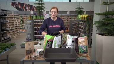 VIDEO | Maakodu aiakool. Eva Luigas selgitab, millist külvimulda valida