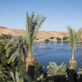 ELEPHANTINE | Egiptuse hästi hoitud saladus — paradiisisaar keset Niilust
