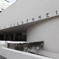 Helsingi linnavolikogu mattis Guggenheimi muuseumi projekti maha