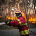 FOTOD: Tuhanded tuletõrjujad võitlevad Portugalis metsatulekahjudega