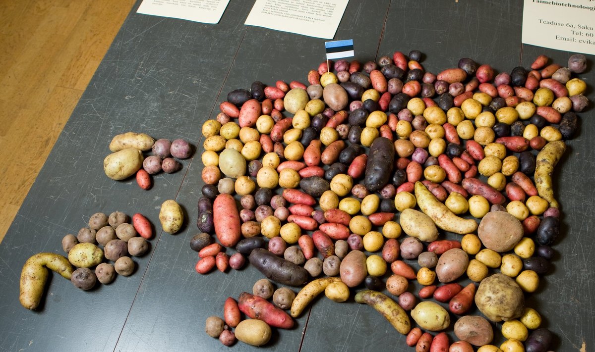Pärast haldusreformi tuleks väiksemad kartulid pildilt välja jätta.