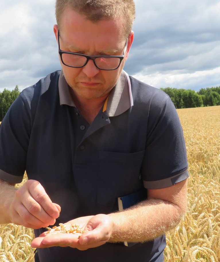 Üks nisu kvaliteedimeistreid on mitu aastat olnud Viljandimaa viljakasvataja Sven-Erik Lohu.
