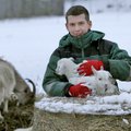 Козья ферма Репинского обратилась в суд против инспекции
