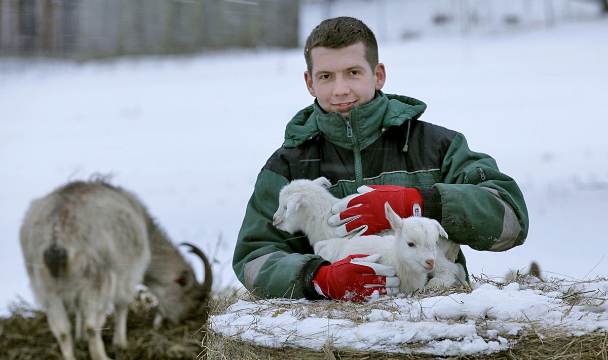 Martin Repinski Konju kitsefarmis.