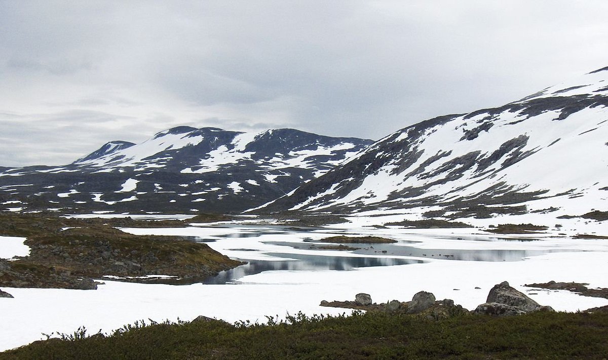 Jääväljad Norras Opplandi piirkonnas. (Foto: Wikipedia / TomasEE)