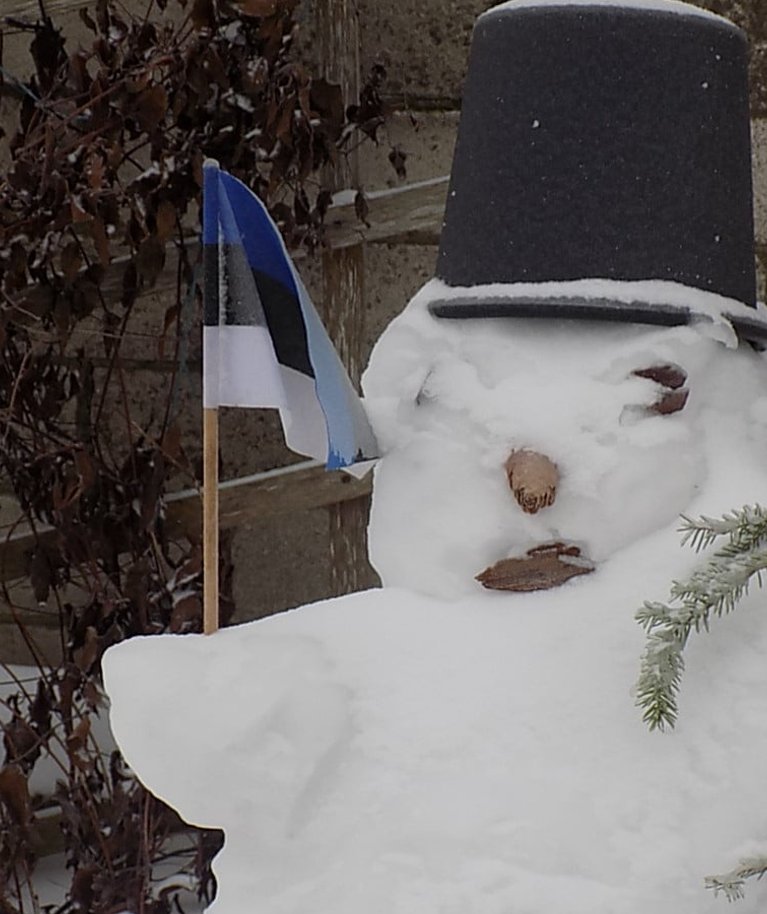 Narva Eesti Selts tervitas vabariigi aastapäeva lumememmega.