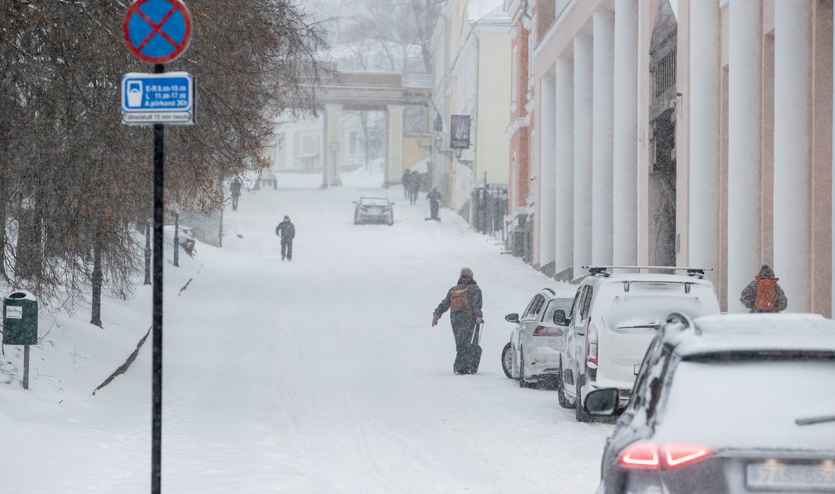 Метель в Тарту