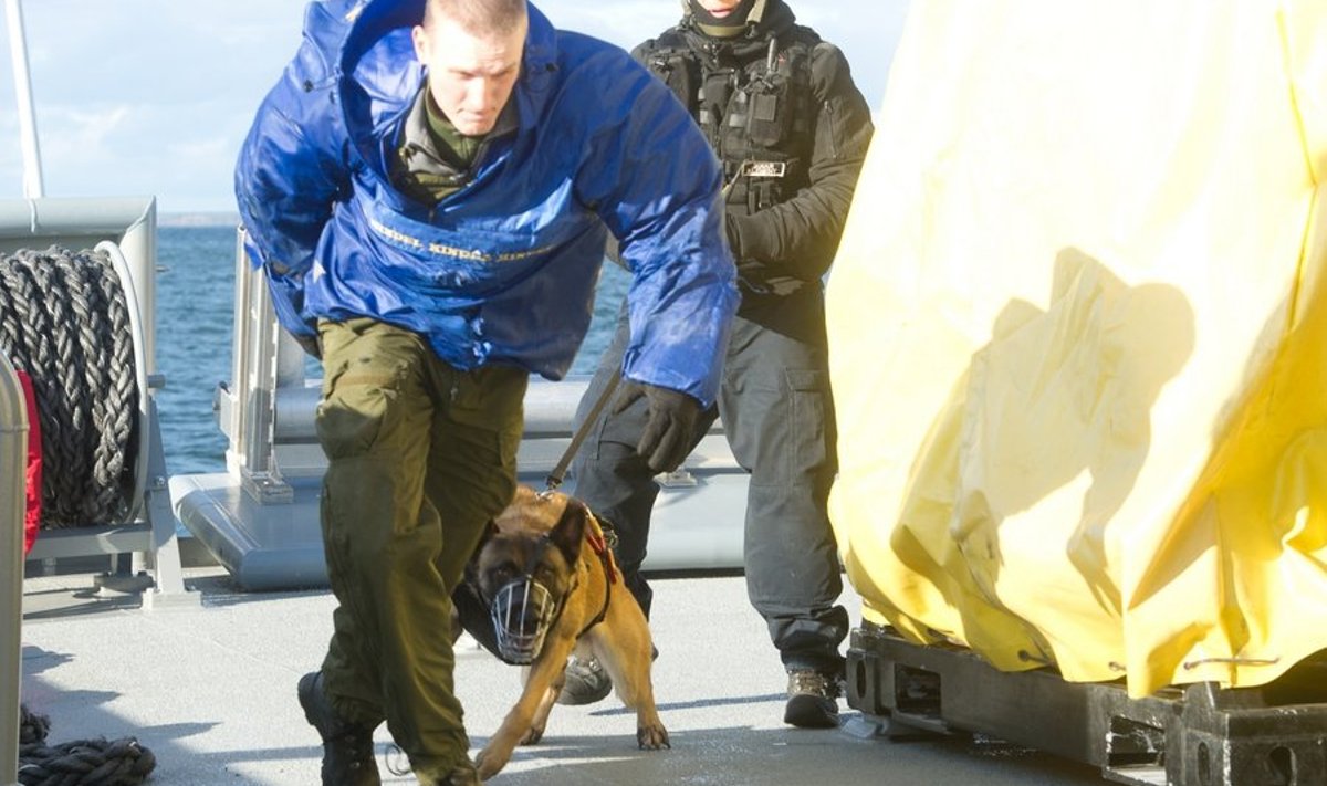 Põhja prefektuuri piirivalvebüroo valmidusüksus koos prefektuuri kiirreaegeerijate ning koerajuhtidega harjutasid kahtlustatava kinni pidamist merel.