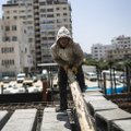 Iisraeliga suhteid parandav Türgi hakkab Gazat üles ehitama