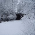 FOTOD: Soomes Karkkilas käivad pardid talvitumas