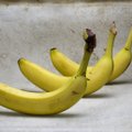 Художник на выставке съел вкусный банан стоимостью 120 тысяч долларов!