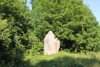 Võssa kasvanud Iru Ämm