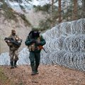 Замглавы МВД Литвы: рассматривается возможность закрытия границы с Беларусью 