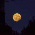 ФОТО: Жители Эстонии могли в понедельник наблюдать частичное лунное затмение