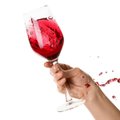 Veinisõnastik | Suitsune vein - mida see sõnapaar õigupoolest tähendab?
