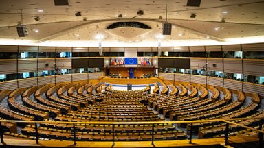 Кандидаты в Европарламент начали представлять избирателям партийные программы 