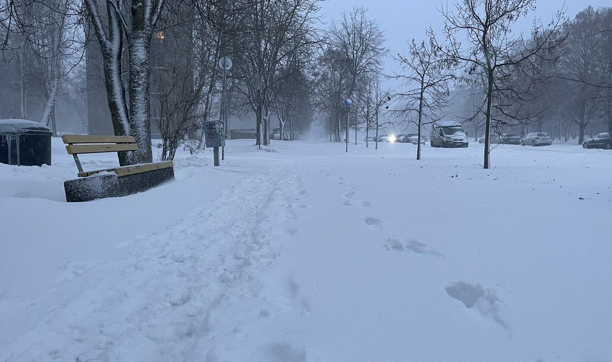 Тротуары в Нарве занесены снегом