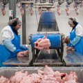 ФОТО и ВИДЕО: ”Пляска смерти”: как изготавливается местное мясо
