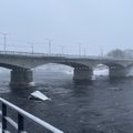 Семеро иностранцев были вынуждены вернуться в Россию. Их не пропустили на погранпункте в Нарве