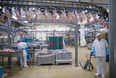 Tallegg Tabasalu lihatööstus