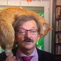 VIDEO | Kiisupalli tähetund! Punane kassike röövis tähtsa teleülekande ajal kogu tähelepanu