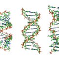 Uusim andmekandja, kuhu faile salvestada - inimese DNA