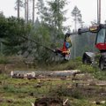 ASI SELGEKS | Kas tulu metsa müügist saab deklareerida järgmisse ja ülejärgmisse aastasse?
