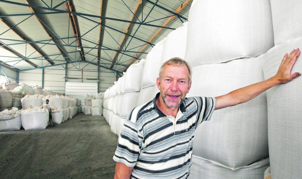 Seemneviljakasvataja Mati Nurm on          talinisu seemne pakkinud tonnistesse kottidesse, mis ootavad ostjaid.
