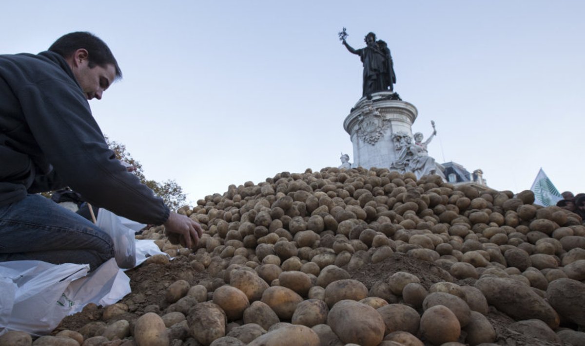 Talunikud jagavad Pariisis tasuta kartuleid. 