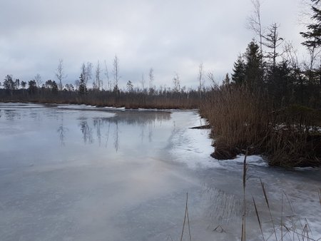 Äravajunud jääkate