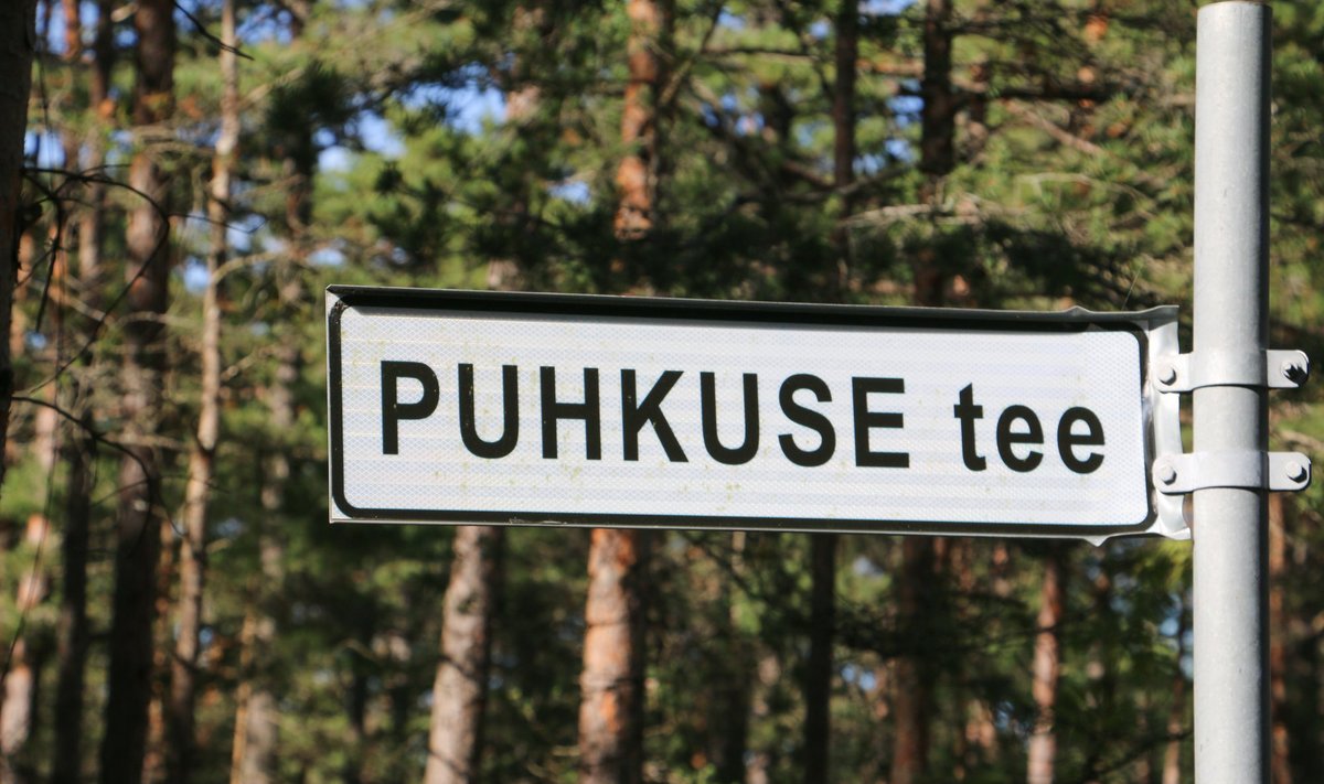 Eestis omab suvekodu 43% inimestest.
