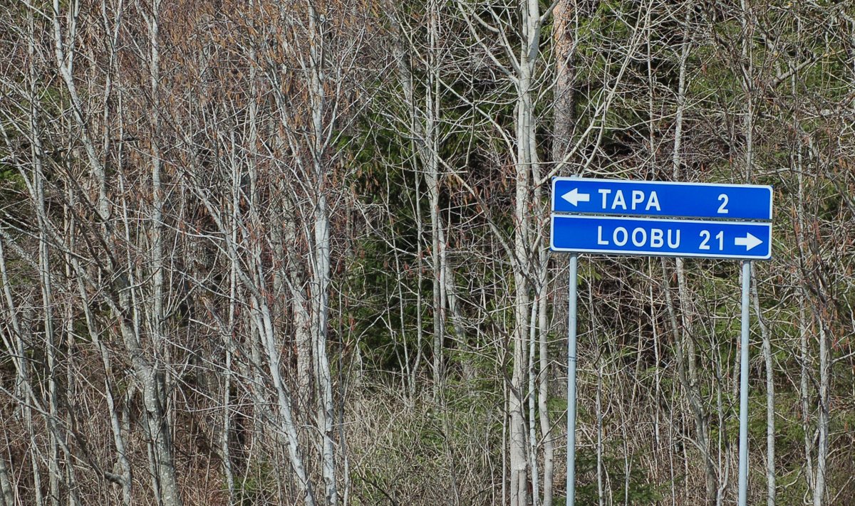 Tapa-Loobu