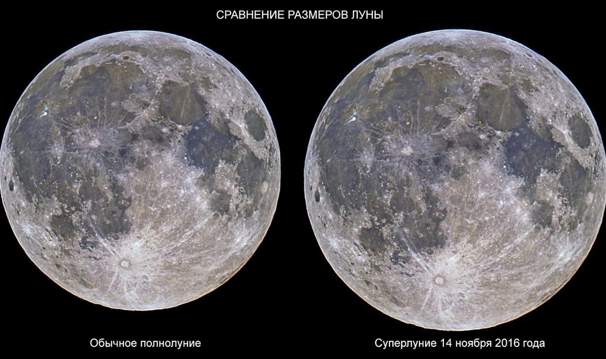 Сравнение дисков Луны