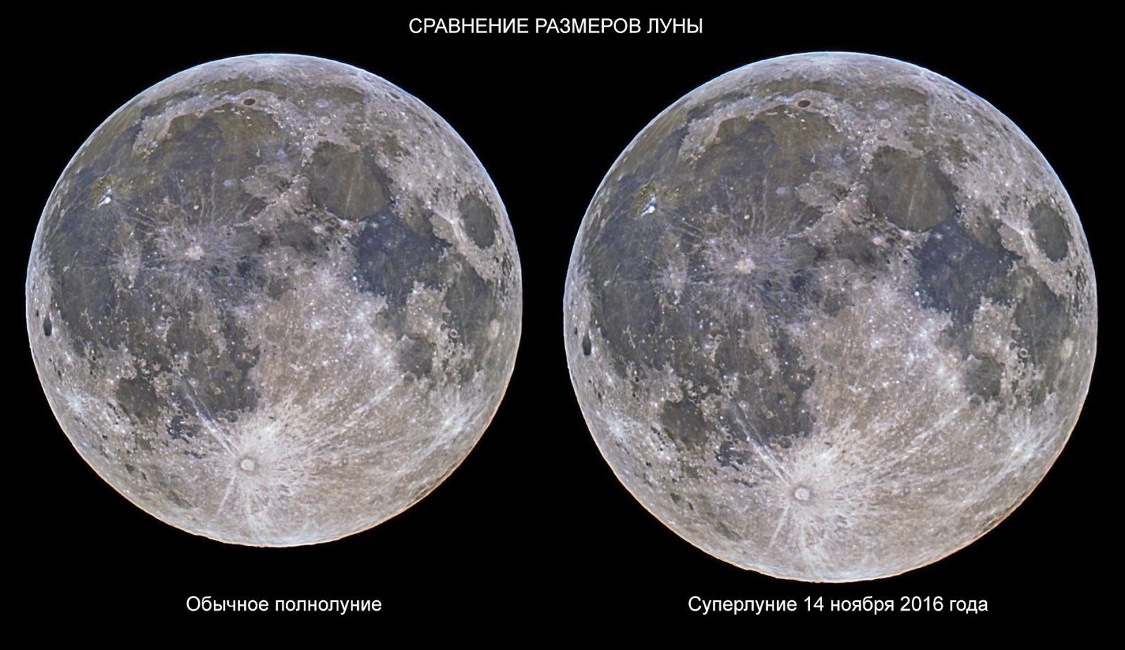 Сравнение размеров луны. Размер Луны. Луна по сравнению с землей. Размеры Луны в размеров земли. Размер Луны и земли сравнение.