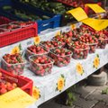 Maasikahooaeg on käes, kas turul algas jälle pettus?