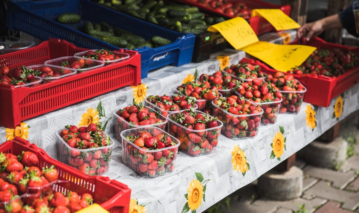 Eesti maasikad Tartu avaturul 12. juunil.