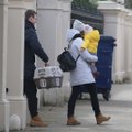 ВИДЕО: Высланные дипломаты с семьями и домашними животными покинули посольство России в Британии