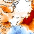 На полюсе холода в Арктике аномальная жара: воздух прогрелся почти до 40 градусов