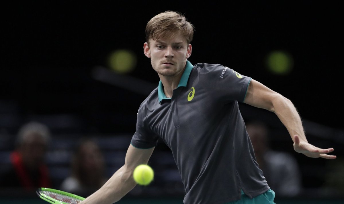 David Goffin