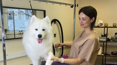 KUULA | Käpake koertesalongi groomer: mulle meeldib vaadata kliendi reaktsiooni, kui ta tuleb oma lemmikule järele