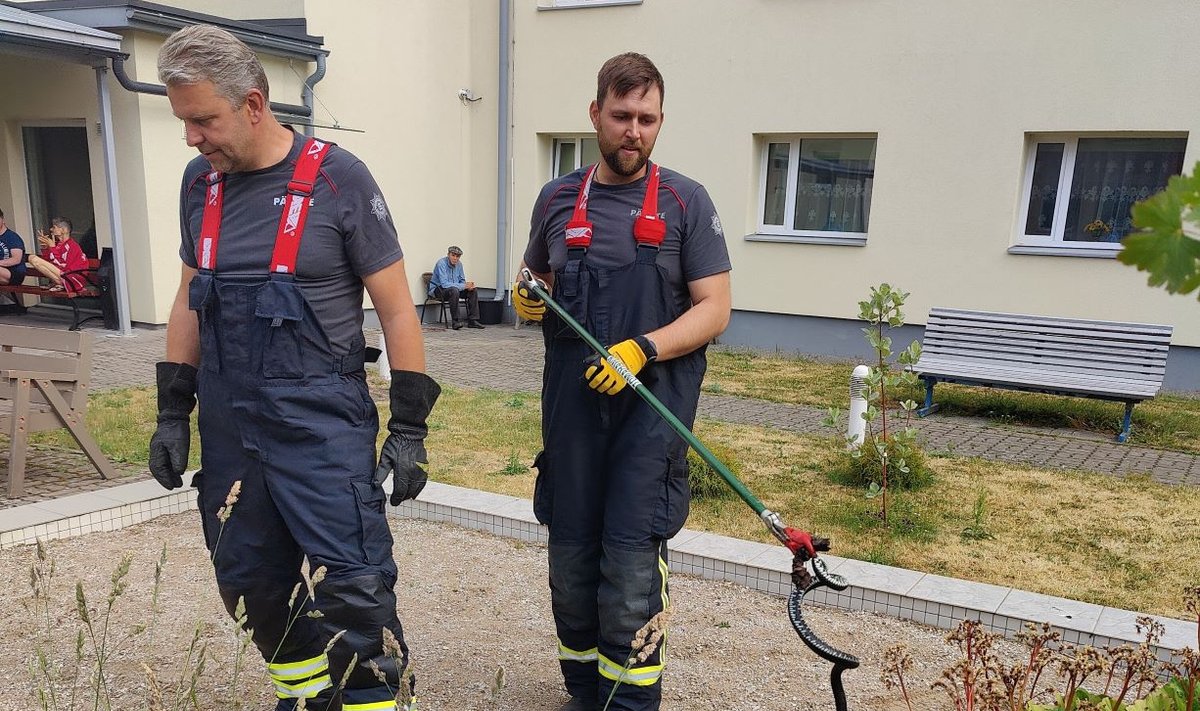 Rästiku päästeoperatsioon