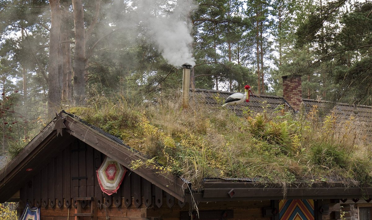 Salmistu mätaskatusega saun.