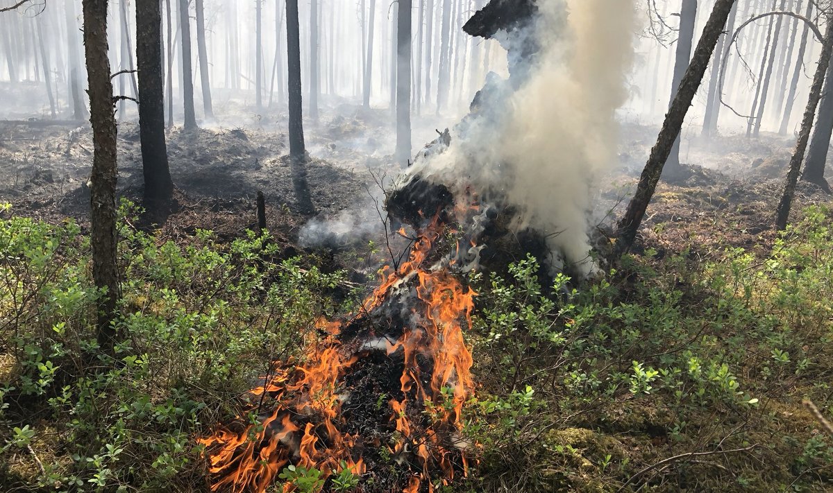 Tulekahju Lääne-Virumaal Kärus