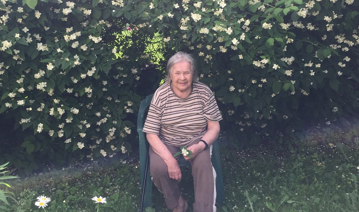 See pilt on tehtud kevadel 2019. Ema selja taga on 70aastane ebajasmiinipõõsas.