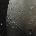 IMETLE | Vägev pilt Kuust, mis koosneb 100 000 pisemast fotost