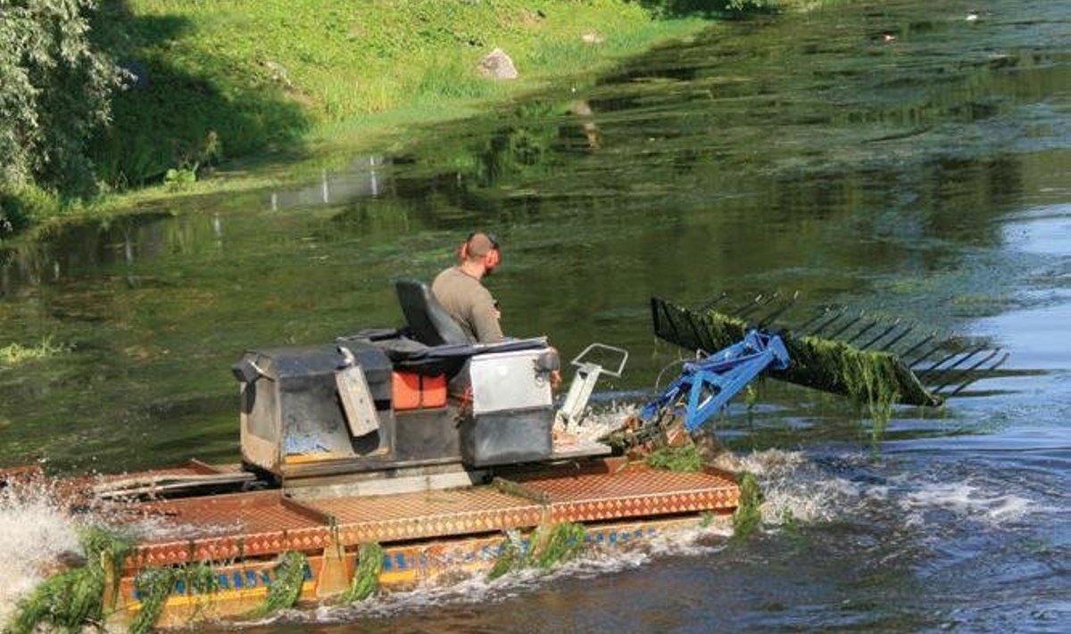 Saue valla rolliks projektis on tutvustada Pääsküla jõe puhastamise ning Ääsmäe biopuhasti projekte
