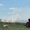 ФОТО И ВИДЕО | На Штромке загорелся тростник. Но дым отдыхающим помехой не стал